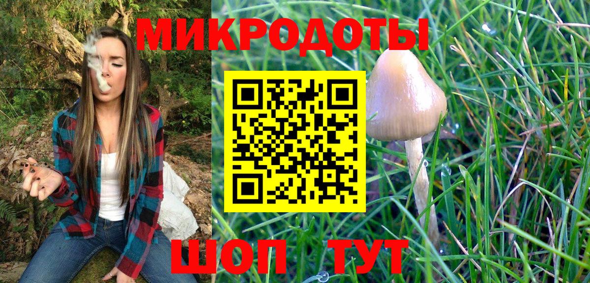 Псилоцибиновые грибы ЛСД Мирный