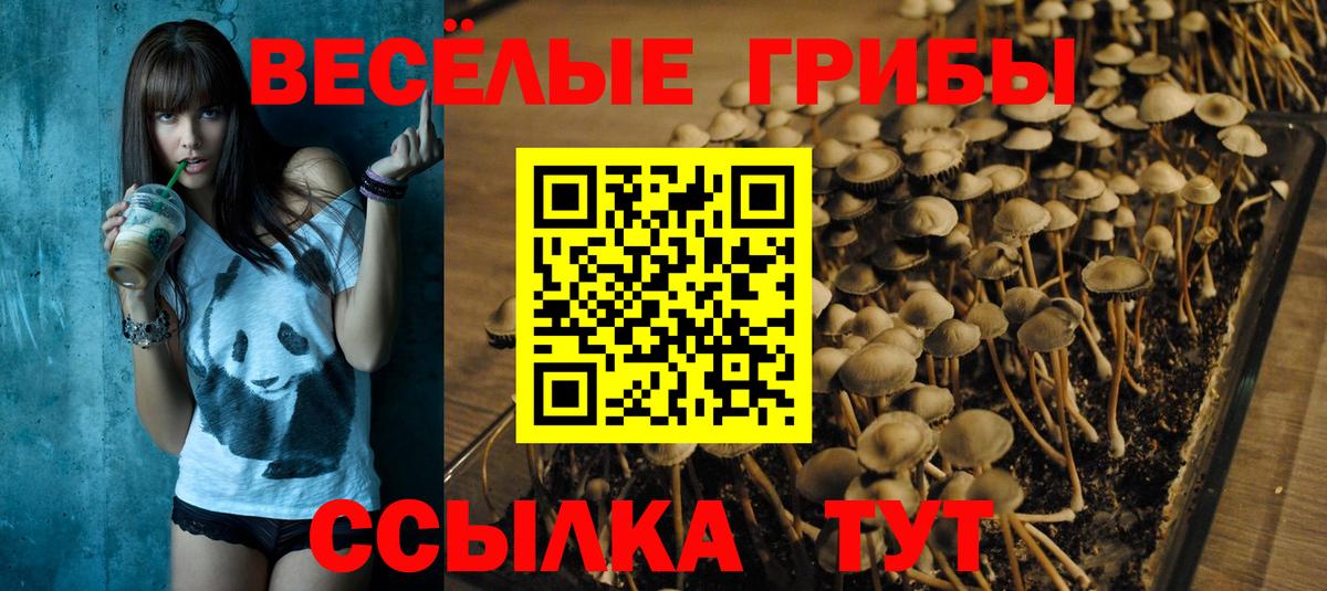 Псилоцибиновые грибы прущие грибы  Вход с VPN  Мирный 